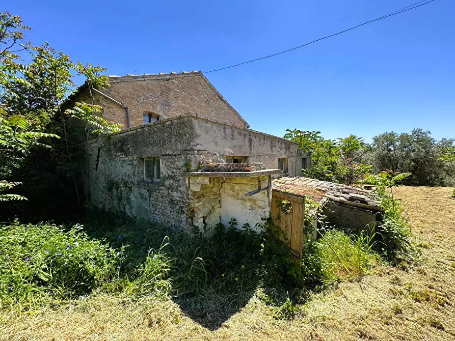 Immagine 6 di Rustico / casale in vendita  5 a Porto San Giorgio