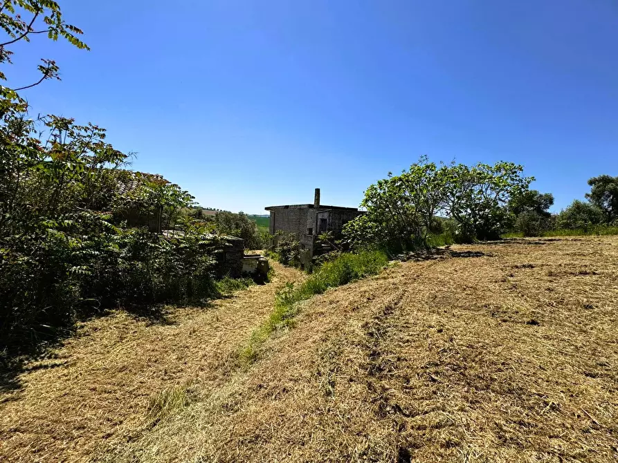 Immagine 7 di Rustico / casale in vendita  5 a Porto San Giorgio