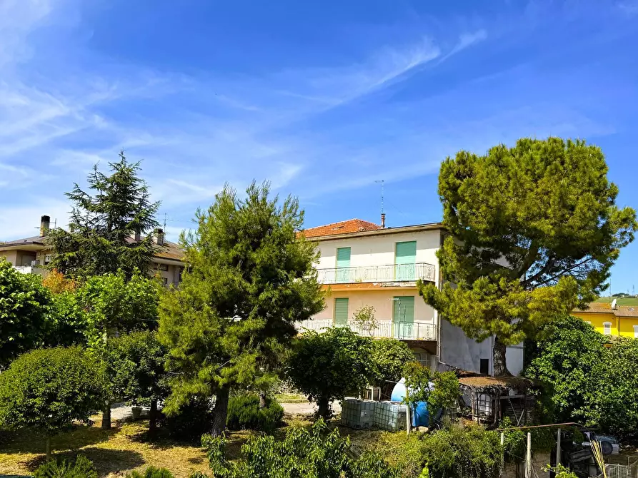 Immagine 3 di Casa indipendente in vendita  snc a Porto San Giorgio