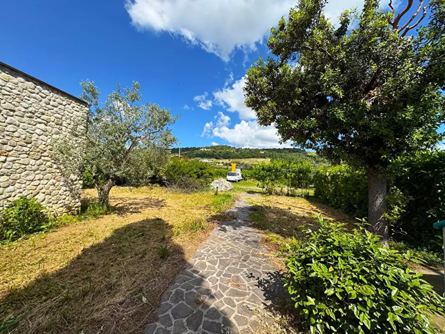 Immagine 17 di Locale commerciale in affitto  snc a Fermo