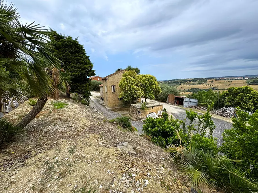 Immagine 5 di Rustico / casale in vendita  snc a Fermo