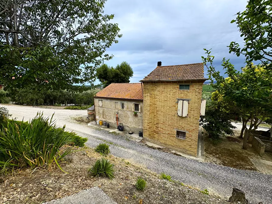 Immagine 4 di Rustico / casale in vendita  snc a Fermo
