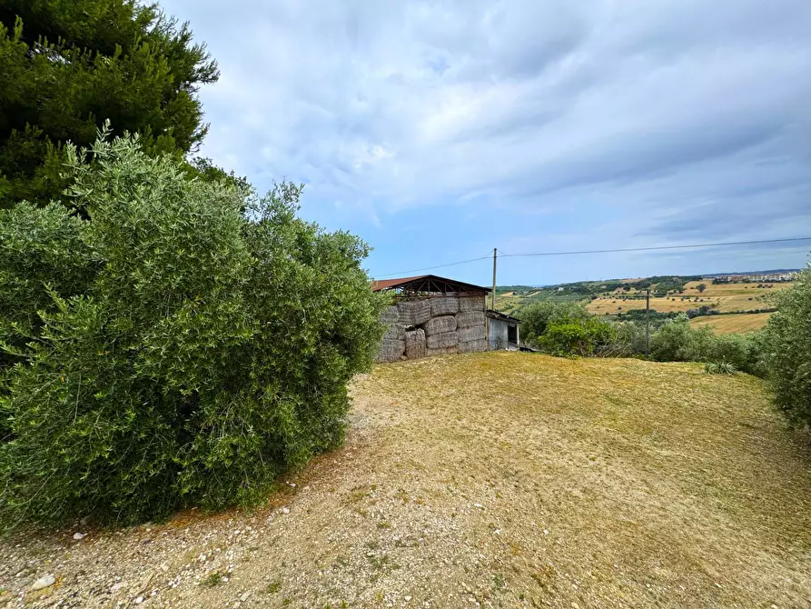 Immagine 8 di Rustico / casale in vendita  snc a Fermo