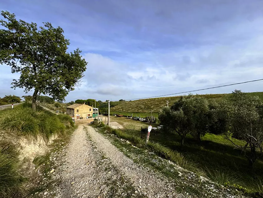 Immagine 5 di Rustico / casale in vendita  a Lapedona