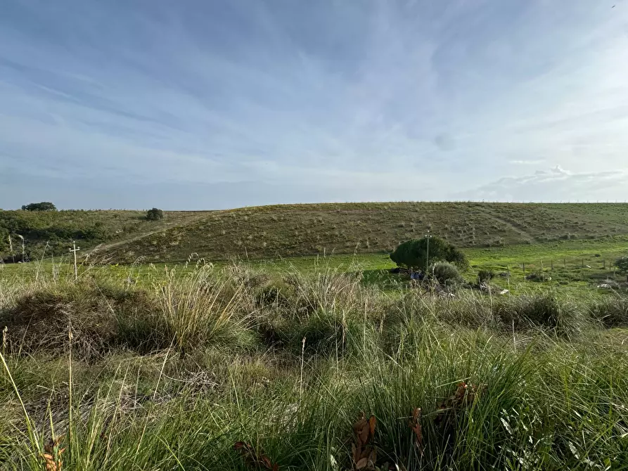 Immagine 5 di Terreno agricolo in vendita  a Lapedona