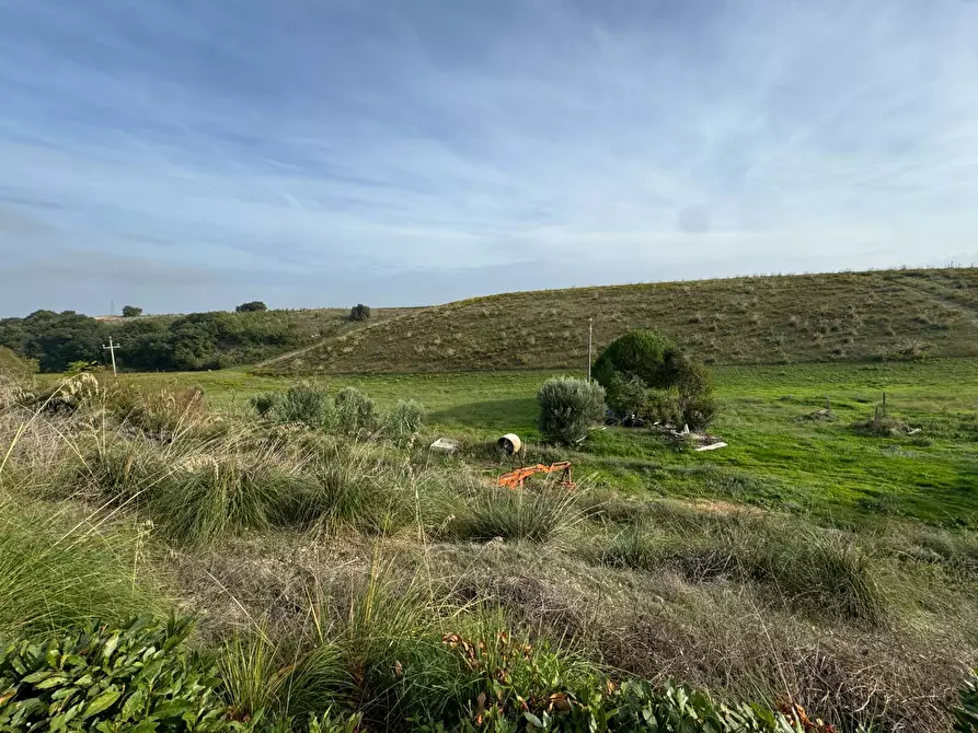 Immagine 6 di Terreno agricolo in vendita  a Lapedona