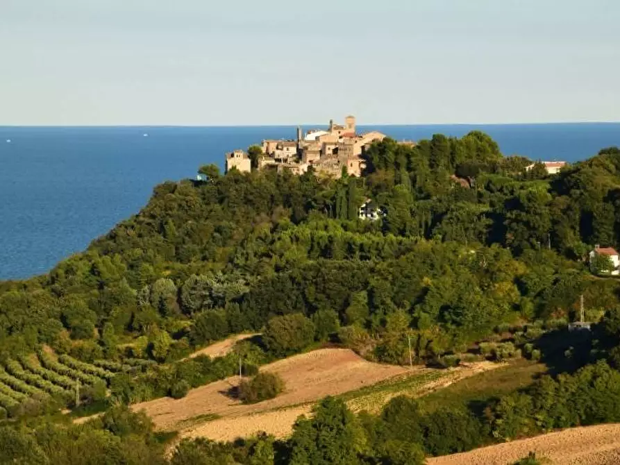 Immagine 8 di Terreno agricolo in vendita  a Lapedona