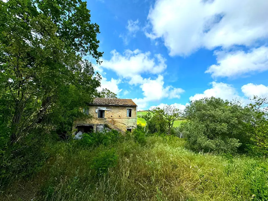 Immagine 2 di Rustico / casale in vendita  snc a Fermo