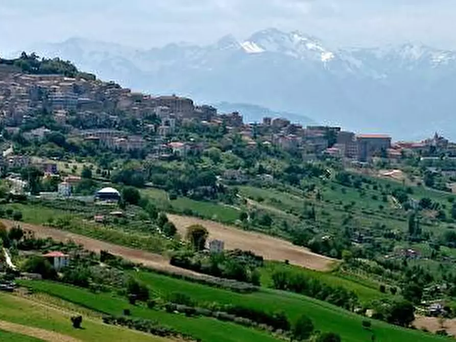 Immagine 3 di Terreno agricolo in vendita  snc a Fermo