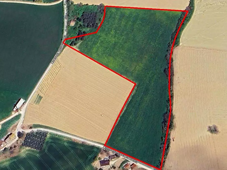 Immagine 1 di Terreno agricolo in vendita  snc a Fermo