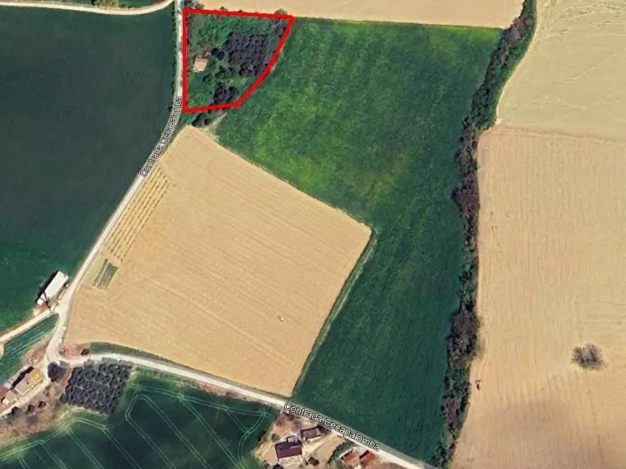 Immagine 4 di Rustico / casale in vendita  snc a Fermo