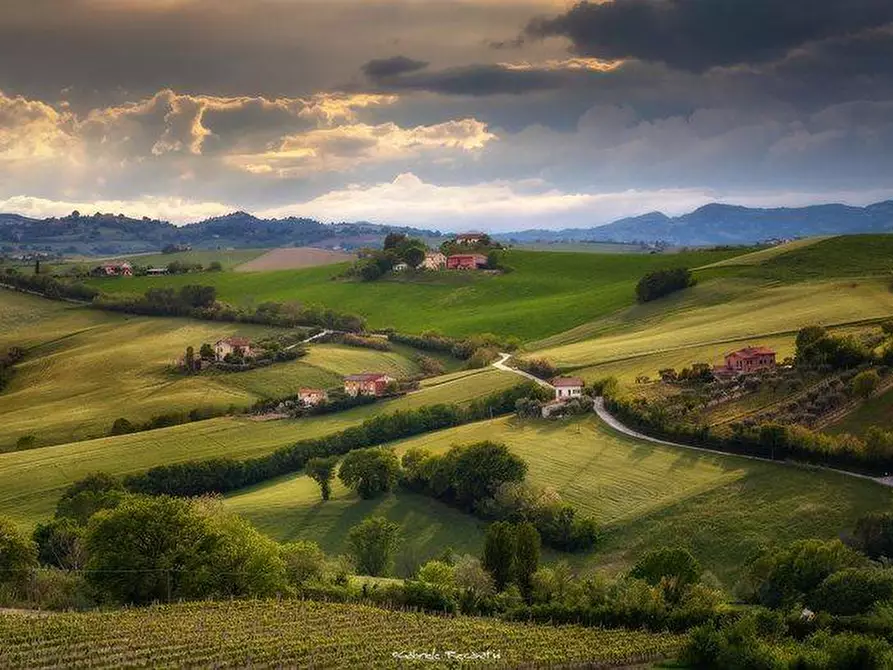 Immagine 10 di Rustico / casale in vendita  snc a Sant'elpidio A Mare