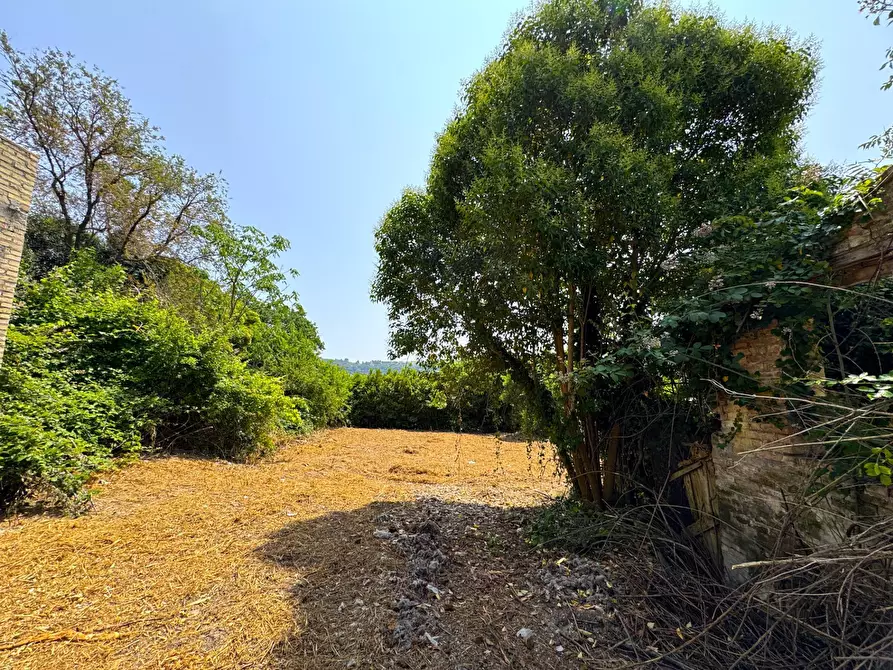 Immagine 7 di Rustico / casale in vendita  snc a Sant'elpidio A Mare
