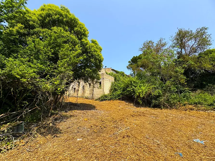 Immagine 5 di Rustico / casale in vendita  snc a Sant'elpidio A Mare