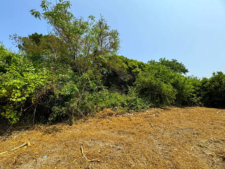Immagine 8 di Rustico / casale in vendita  snc a Sant'elpidio A Mare