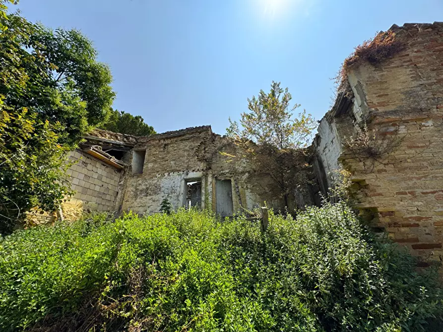 Immagine 4 di Rustico / casale in vendita  snc a Sant'elpidio A Mare
