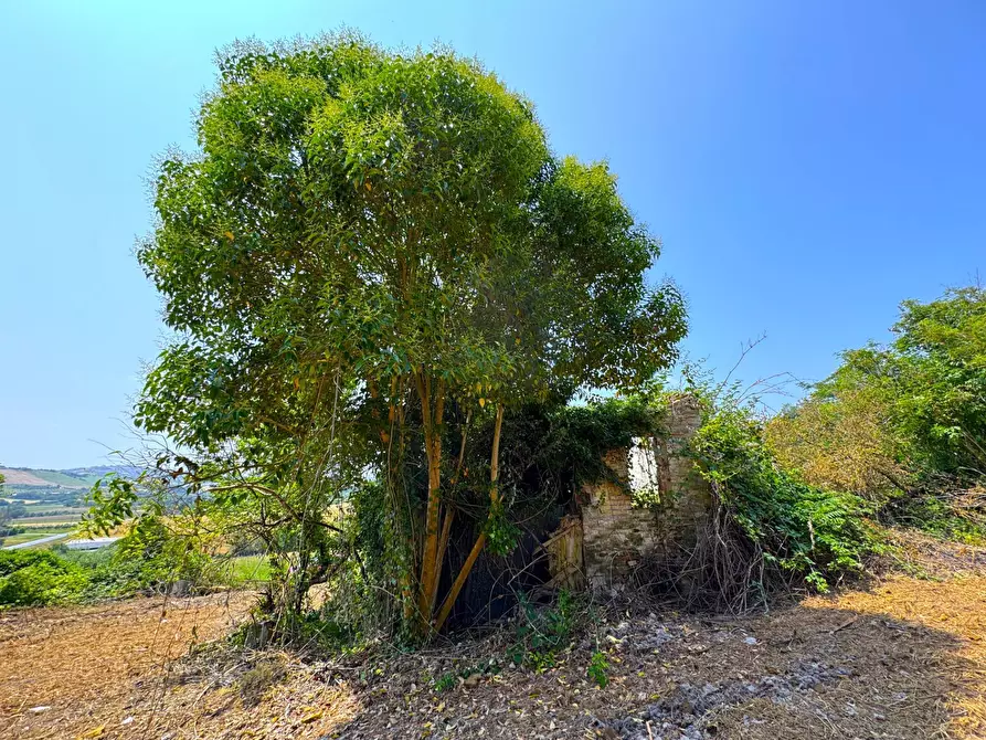 Immagine 9 di Rustico / casale in vendita  snc a Sant'elpidio A Mare