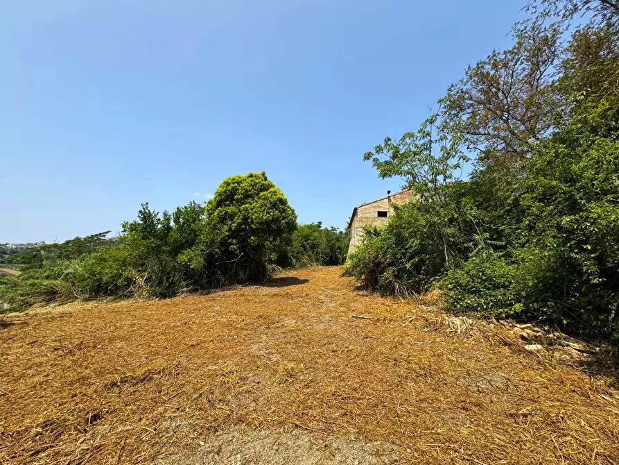 Immagine 6 di Rustico / casale in vendita  snc a Sant'elpidio A Mare