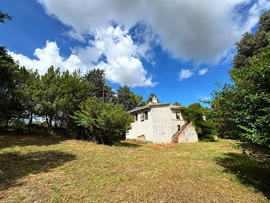 Immagine 2 di Rustico / casale in vendita  snc a Monterubbiano