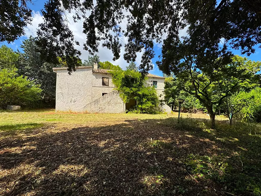 Immagine 4 di Rustico / casale in vendita  snc a Monterubbiano