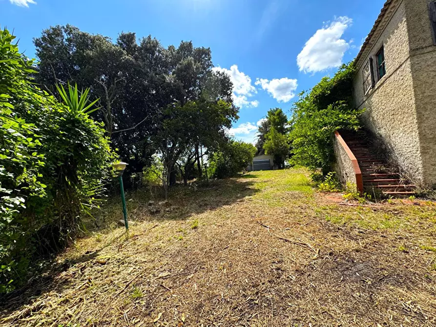 Immagine 5 di Rustico / casale in vendita  snc a Monterubbiano