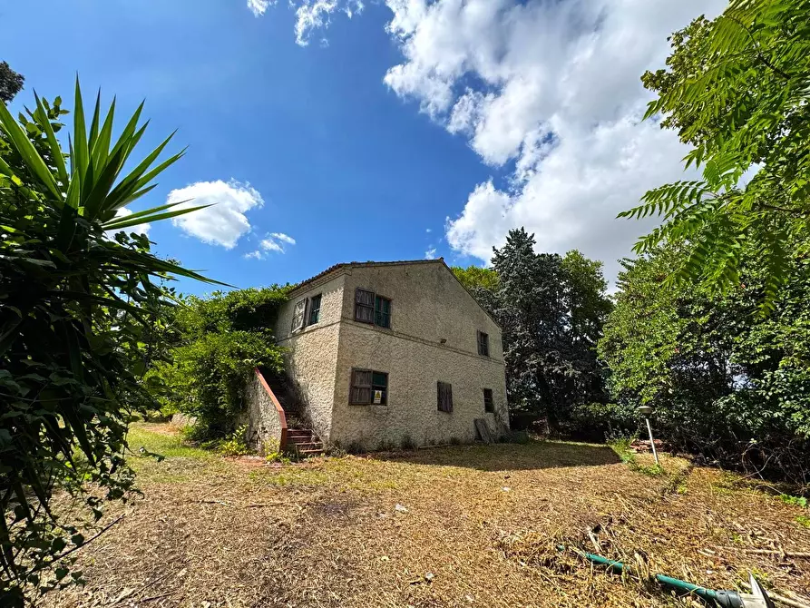 Immagine 3 di Rustico / casale in vendita  snc a Monterubbiano