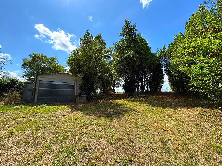 Immagine 7 di Rustico / casale in vendita  snc a Monterubbiano