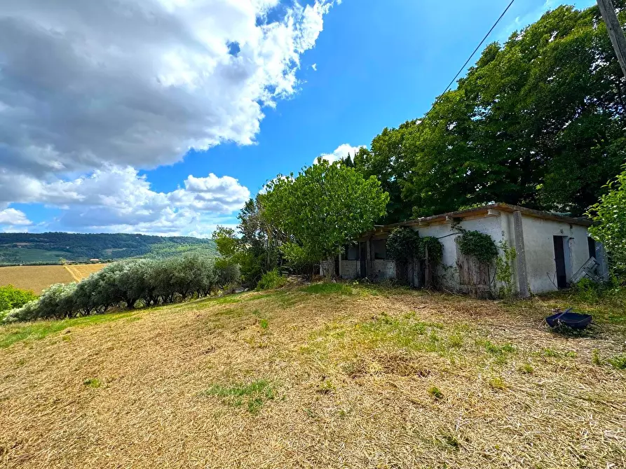 Immagine 8 di Rustico / casale in vendita  snc a Monterubbiano