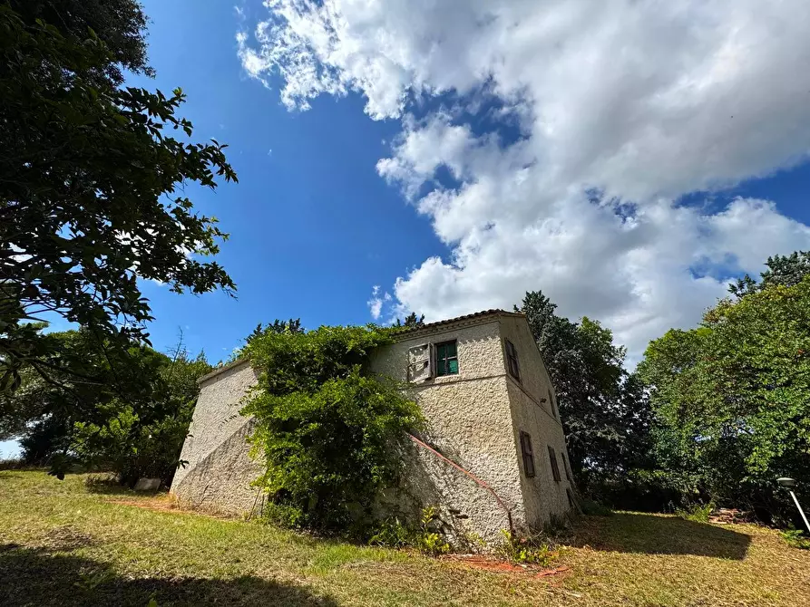 Immagine 6 di Rustico / casale in vendita  snc a Monterubbiano
