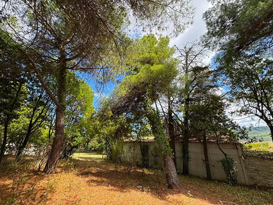 Immagine 9 di Rustico / casale in vendita  snc a Monterubbiano