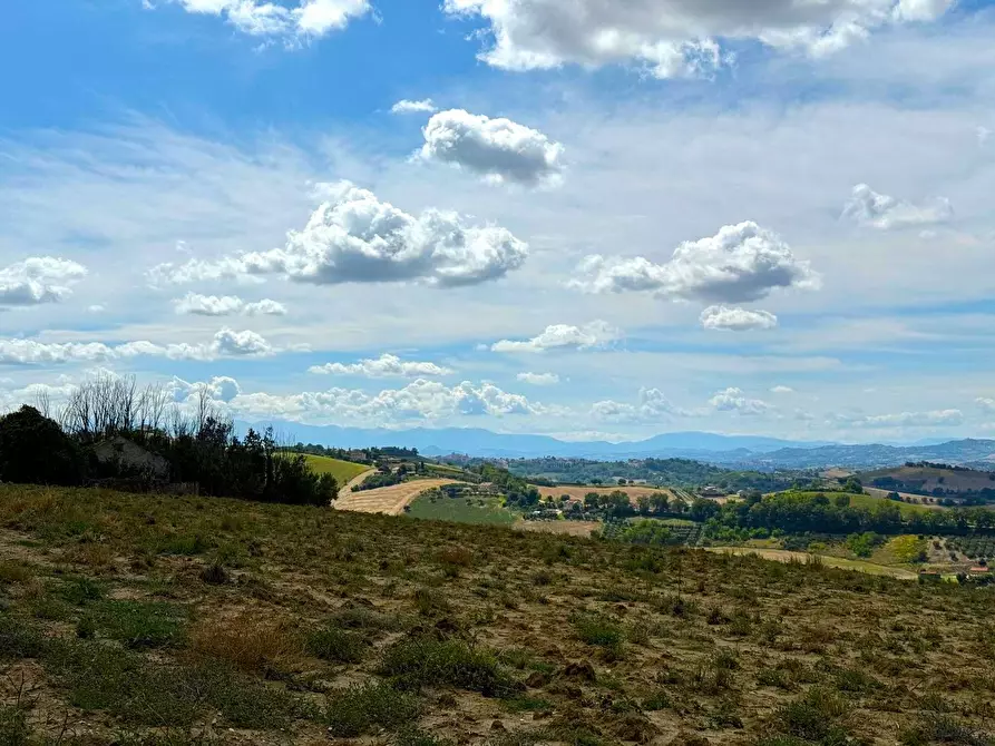 Immagine 10 di Rustico / casale in vendita  snc a Monterubbiano