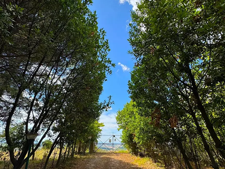 Immagine 11 di Rustico / casale in vendita  snc a Monterubbiano
