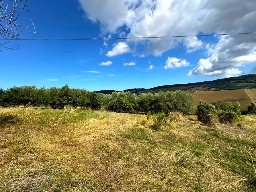 Immagine 14 di Rustico / casale in vendita  snc a Monterubbiano