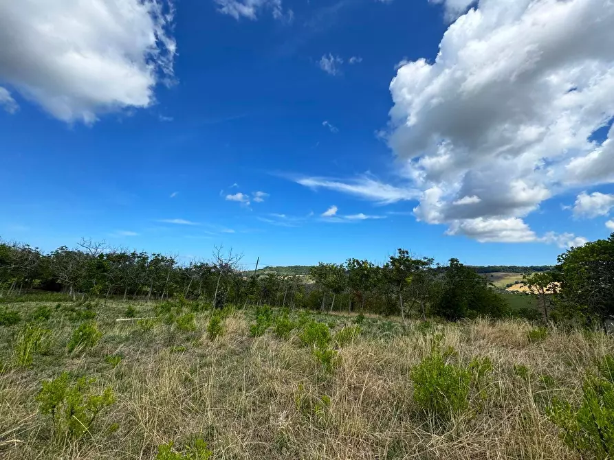 Immagine 15 di Rustico / casale in vendita  snc a Monterubbiano
