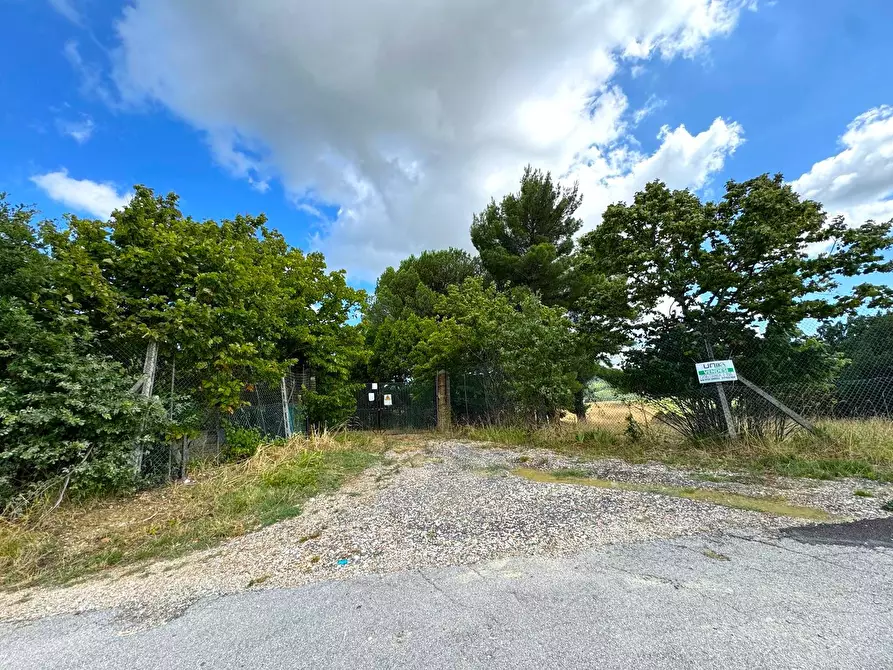 Immagine 17 di Rustico / casale in vendita  snc a Monterubbiano