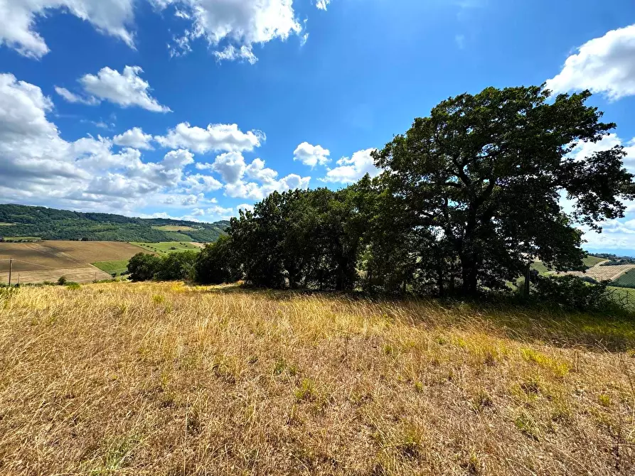 Immagine 18 di Rustico / casale in vendita  snc a Monterubbiano