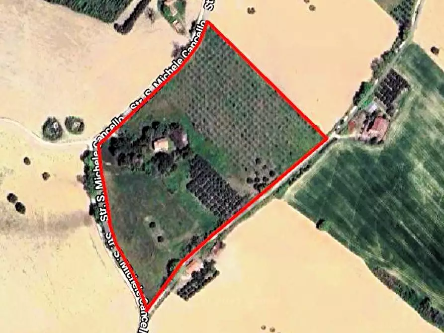 Immagine 1 di Rustico / casale in vendita  snc a Monterubbiano