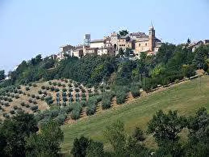 Immagine 7 di Rustico / casale in vendita  snc a Ponzano Di Fermo
