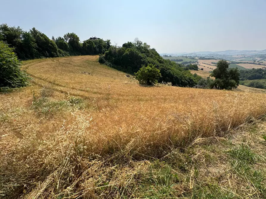 Immagine 5 di Rustico / casale in vendita  snc a Ponzano Di Fermo
