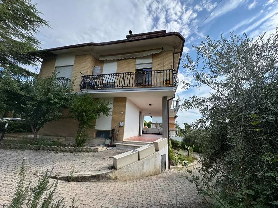 Immagine 14 di Casa indipendente in vendita  a Rapagnano