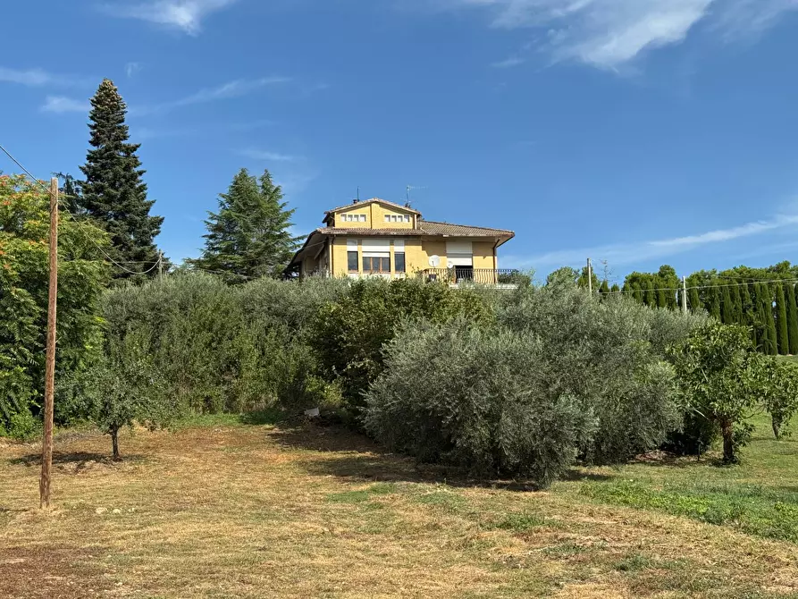Immagine 17 di Casa indipendente in vendita  a Rapagnano