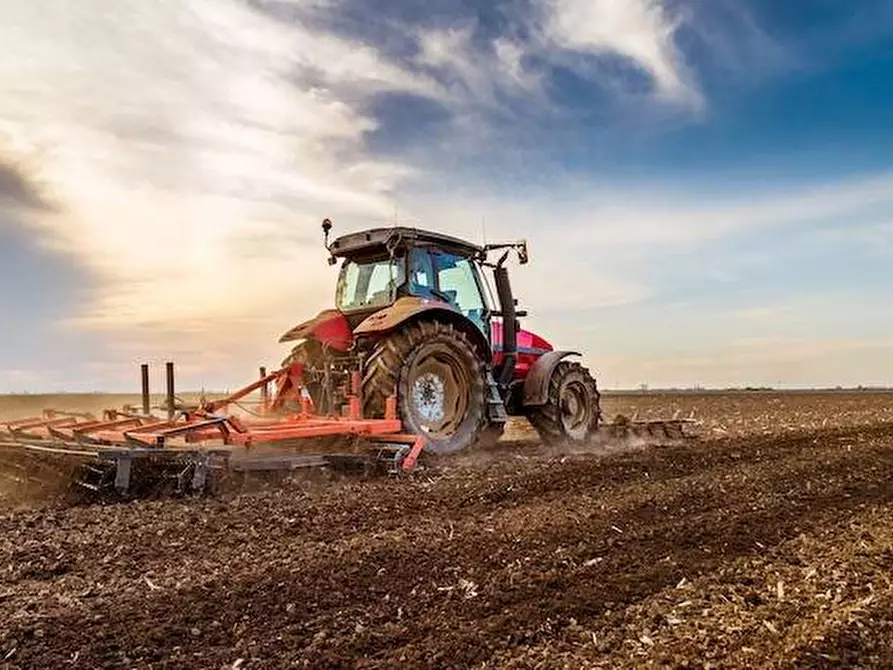 Immagine 1 di Terreno agricolo in vendita  snc a Monte San Pietrangeli