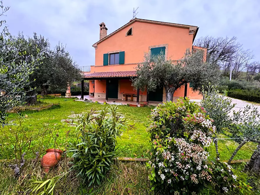 casa indipendente in vendita a Tolentino