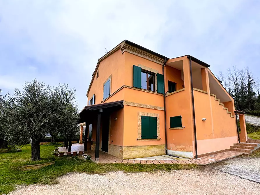 Immagine 2 di Rustico / casale in vendita  46 a Tolentino