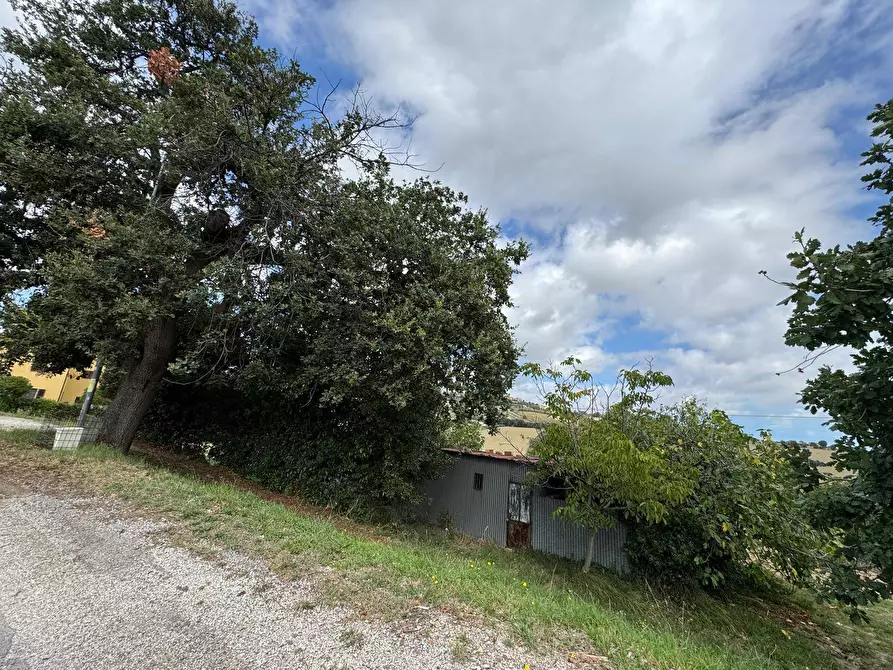 Immagine 2 di Terreno agricolo in vendita  snc a Fermo