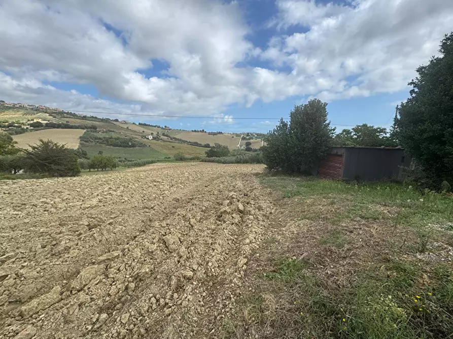 Immagine 3 di Terreno agricolo in vendita  snc a Fermo