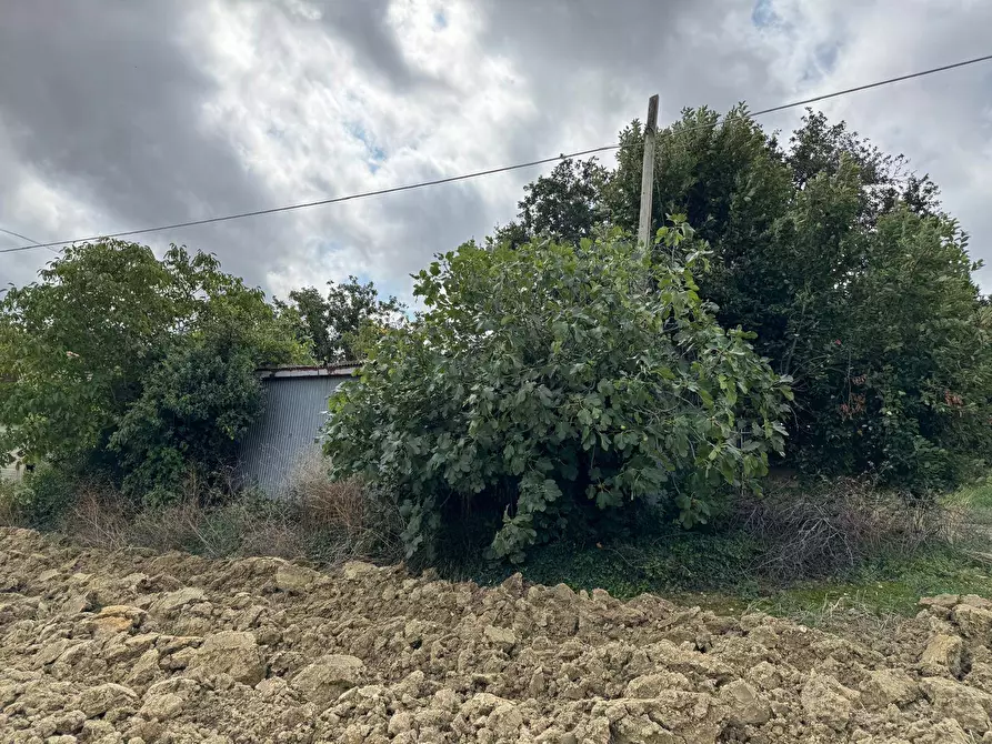 Immagine 4 di Terreno agricolo in vendita  snc a Fermo