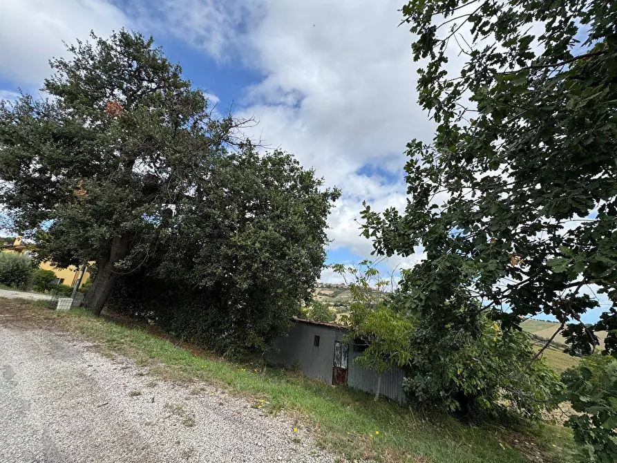 Immagine 5 di Terreno agricolo in vendita  snc a Fermo