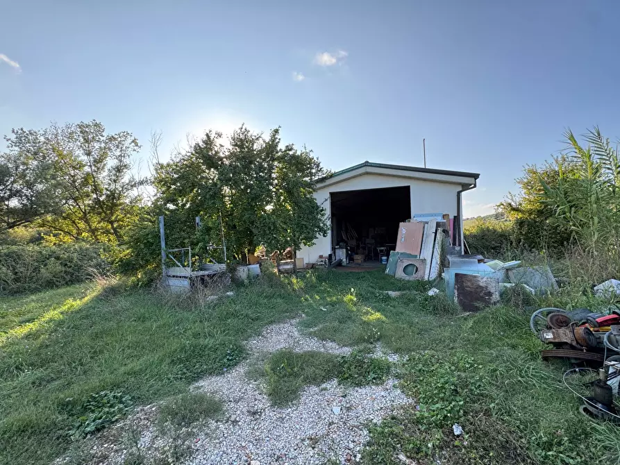 Immagine 3 di Magazzino in vendita  a Fermo