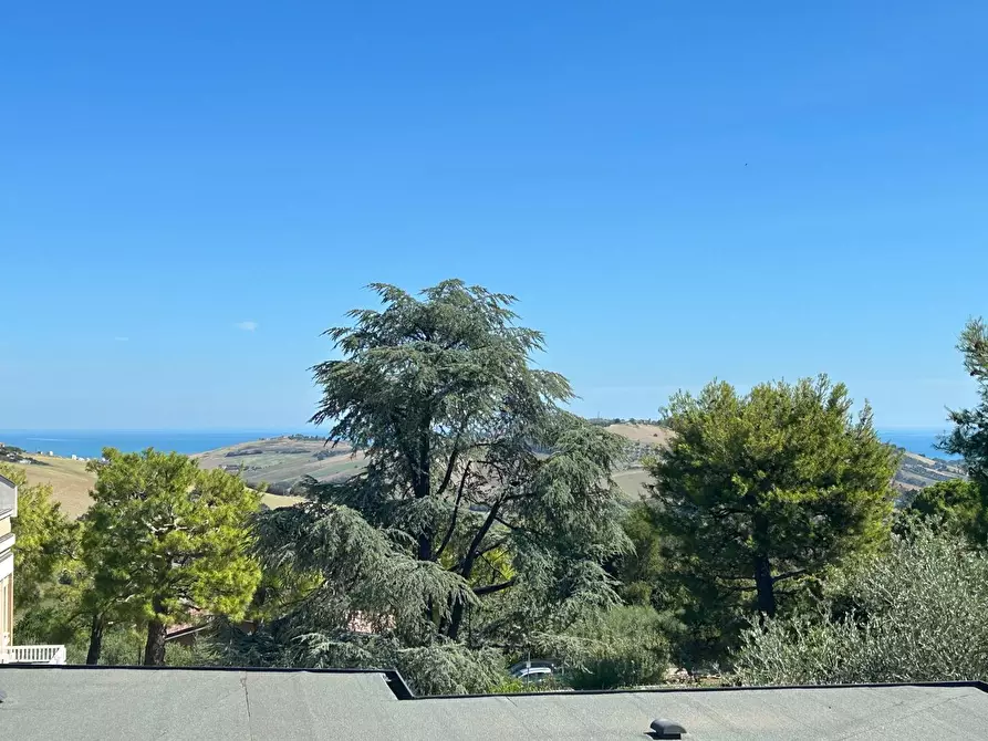 Immagine 19 di Villa in vendita  snc a Fermo